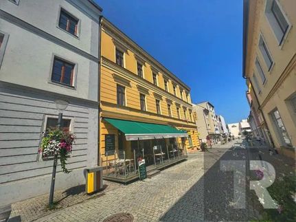 Prodej domu 882 m², pozemek 681 m²