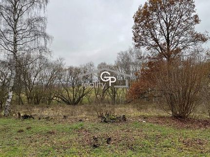Prodej zemědělské usedlosti 120 m², pozemek 8582 m²