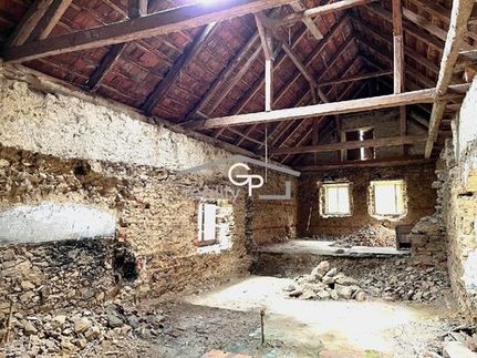 Prodej zemědělské usedlosti 120 m², pozemek 8582 m²