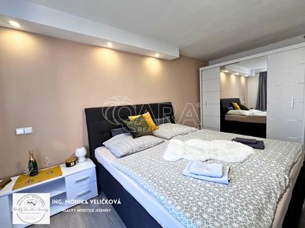 Prodej bytu 1+1 30 m²