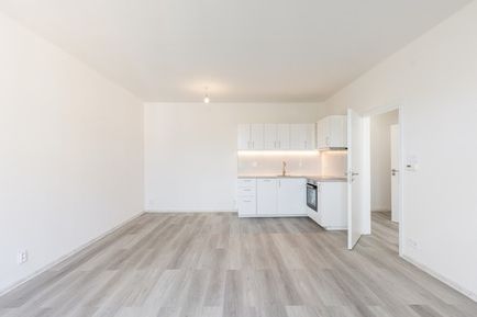 Prodej bytu 1+1 46 m²