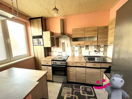 Prodej bytu 3+1 58 m²