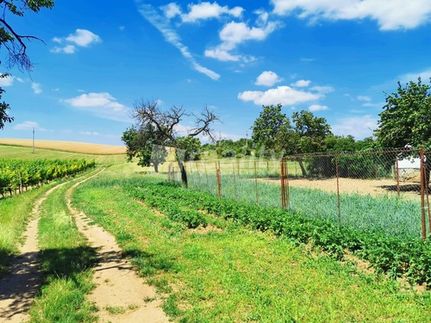 Prodej stavebního pozemku 934 m²