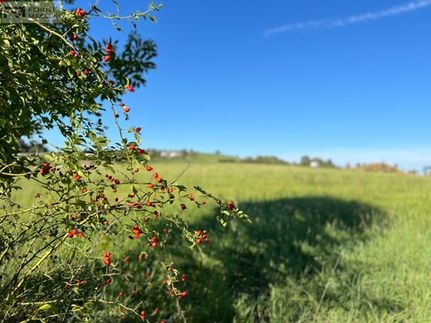 Prodej stavebního pozemku 1541 m²