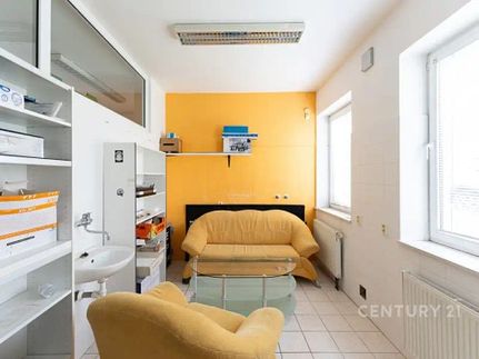 Prodej bytu 5+1 120 m²
