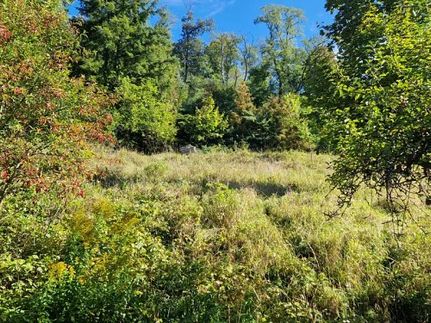 Prodej stavebního pozemku 1103 m²