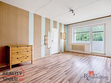 Prodaný  byt 1+1 49 m²